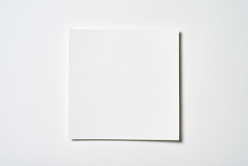 White paper background, copy space. Top view, flat lay, above