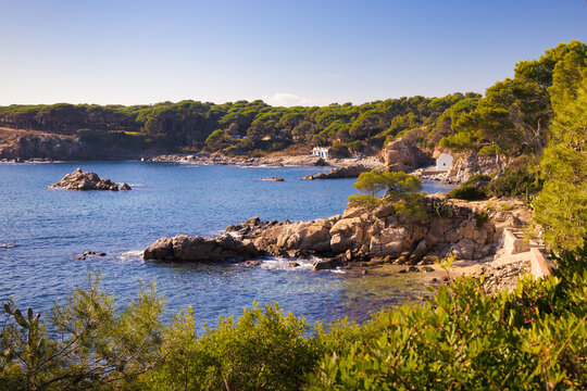 View of the beautiful bay of Cala S'Alguer, seen from the coastal path of La Fosca to the Castell beach, Costa Brava, Catalonia, Spain