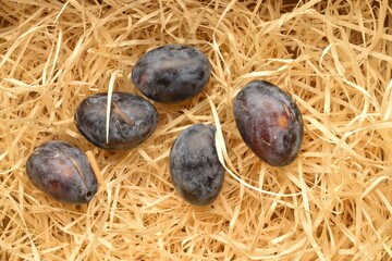 Five juicy dark purple plums, close-up, on wood shavings.