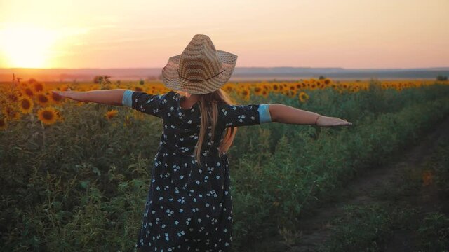 Child girl runs across the field of sunflowers, hands are opened at sun down.