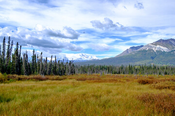 Fototapeta na wymiar McCarthy Road view, McCarthy valley, Wrangell St. Elias National Park, Alaska. Meadow and mountains.