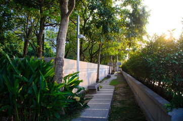 walkway in the park