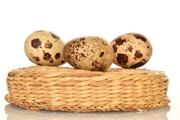 Several fresh quail eggs, close-up, isolated on white.