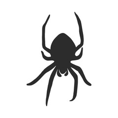 Hand Drawn Spider Illustration - Vector Design Element For Halloween And Other Compositions. spider vector sketch illustration