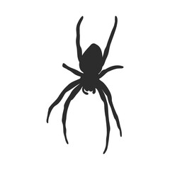 Hand Drawn Spider Illustration - Vector Design Element For Halloween And Other Compositions. spider vector sketch illustration