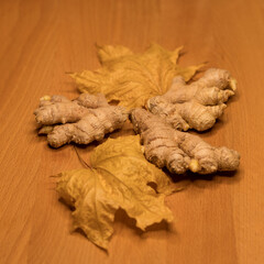 Still life ginger and autumn foliage