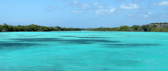 Isla La Tortuga - Venezuela