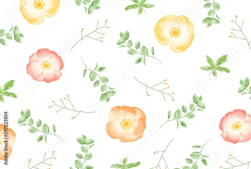 優しいタッチのポピーとユーカリのイラスト Wall Mural Hirose