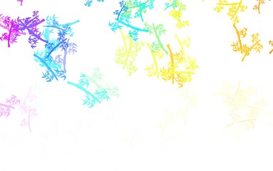 Light Multicolor vector doodle pattern with branches.