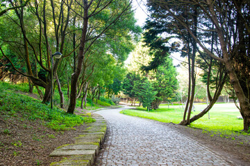 Fototapeta na wymiar Nature and parks in Porto, Portugal