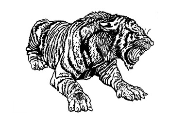 Fototapeta na wymiar Graphical tiger isolated on white background, vector illustration, wild animal. 