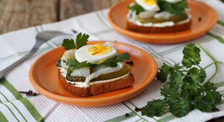 Open sandwiches with cream cheese, pickled cucumber, salted fish pike and egg with herbs.Homemade healthy food for Breakfast.