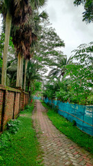 Naklejka premium brick path in village
