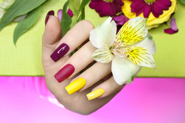 Beautiful fashionable multi-colored manicure with matte and glossy nail Polish colors with decorative small flowers on a light green background.