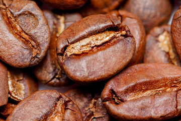 Macro view of fresh roasted Arabica coffee beans, extreme close up photo of fresh coffee beans.