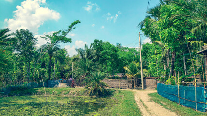 Beautiful Village house and green 