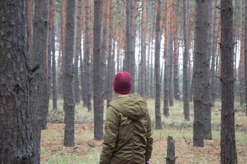 forest, nature, picking mushrooms, mushrooms, rest, autumn, tree, woods, park, young, woman, outdoors, boy, walking, people, child, fall, walk, hiking, trees, person, happy, green, outdoor, winter, po