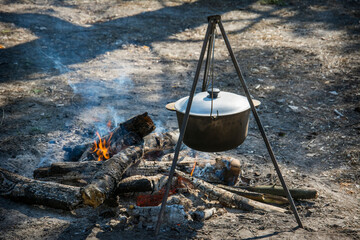 In the spring, a bowler hat on the fire in the forest.