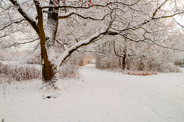  Winter in Hannover - Hermann-Löns-Park	