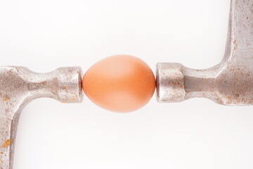 metal hammer and egg on white background