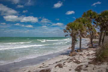 Wild uninhabited shore of Egmont Key State Park on the Gulf of Mexico on the west coast of Florida