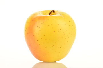 Ripe yellow apple, close-up, isolated on white.