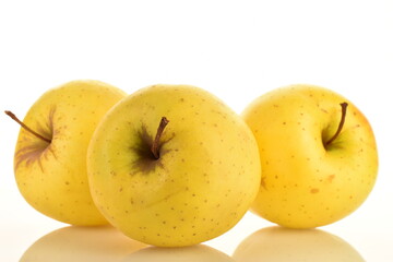 Ripe yellow apples, close-up, isolated on white.