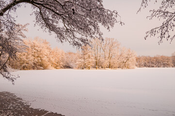 Winter in Hannover  - Hermann-Löns-Park