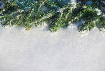 Closeup of Christmas tree with snow background