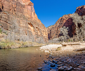 Impression from hiking trail to Pine Creek Canyon overlook in the Zion National park