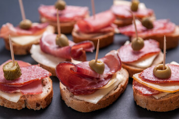 Mini sandwiches food set. Delicious appetizer