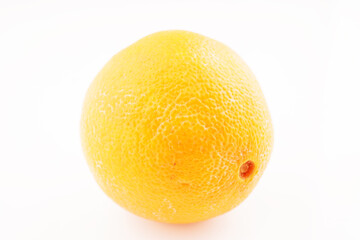 orange fruit on white background