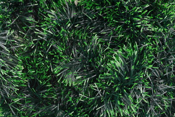 christmas decoration on white background