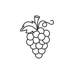 Grapes outline icon. Food, outline vector illustration.