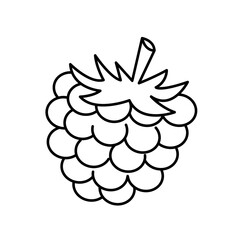 Raspberry outline icon. Food, outline vector illustration.