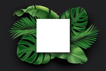 White square blank card with green exotic jungle leaves on black background. Monstera, philodendron, fan palm, banana leaf, areca palm vector illustration. Tropic botanical elements with poster