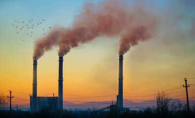 Industrial smoke stack of coal power plant. Burning coal. Pollution of nature, of the planet. Birds in flight.