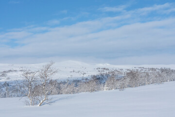 Winter landscapes from Holtaalen, Norway.