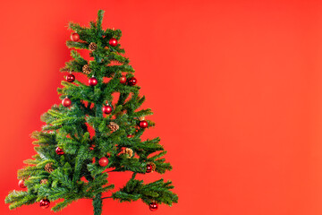 Beautiful christmas tree isolated on a red background in studio nobody