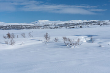 Winter landscapes from Holtaalen, Norway.
