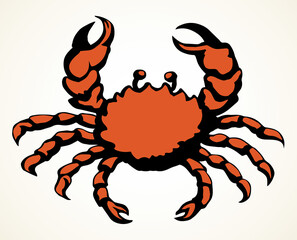 Big sea crab. Vector drawing