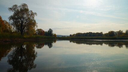 reflection of trees in the water