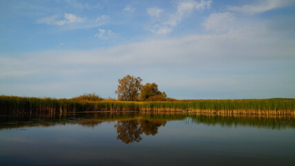 Obraz premium landscape with lake