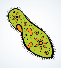 Paramecium caudatum. Vector drawing icon