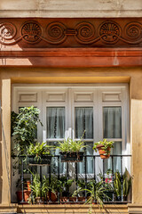 Fragments of the facades of traditional Andalusian houses. Malaga, Costa del Sol, Andalusia, Spain.