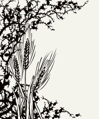 Fototapeta premium A Bible parable. The grain fell into the thorns. Vector drawing