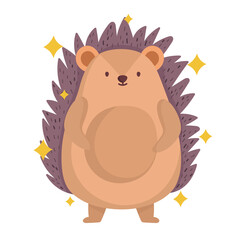 cute hedgehog animal with stars in cartoon design