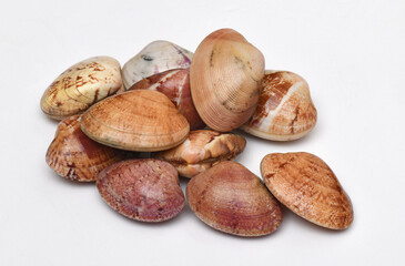 Galician seafood ria de arosa