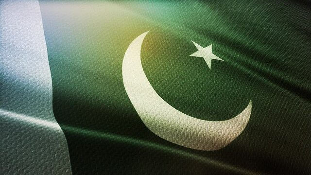 fabric pattern waving Pakistan
flag of