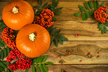 Fall, pumpkins and rowan